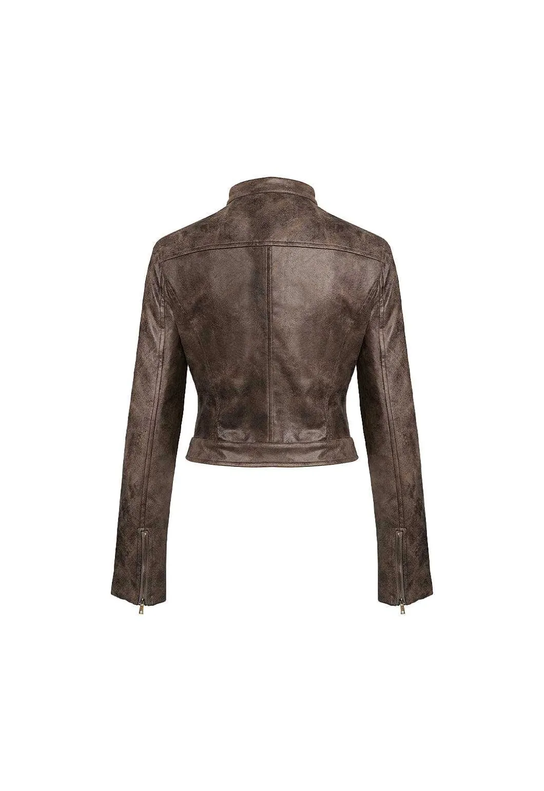 Bella Moto Jacket