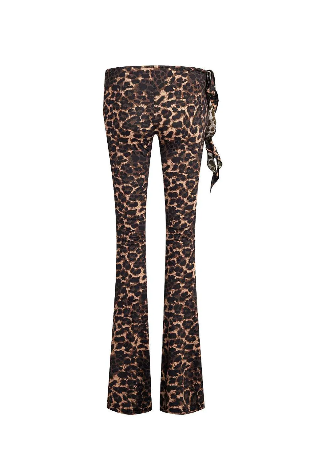 Opulence Pant